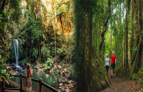 Embracing Nature: Free Outdoor Activities for Nature Lovers on the Gold Coast