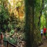 Embracing Nature: Free Outdoor Activities for Nature Lovers on the Gold Coast