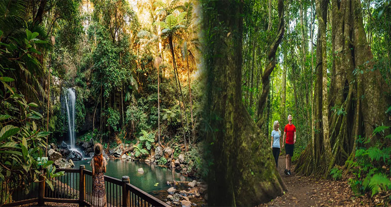 Embracing Nature: Free Outdoor Activities for Nature Lovers on the Gold Coast