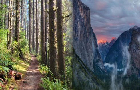 Exploring California's Top National Historical Parks by State