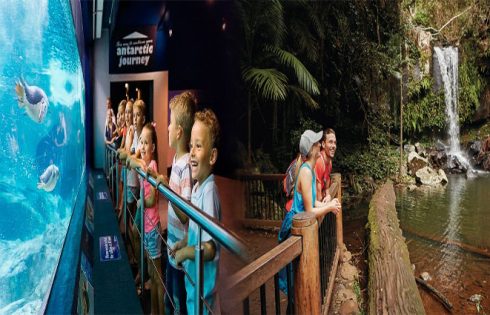 Free Family-Friendly Attractions on the Gold Coast, Australia