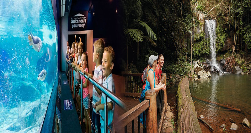 Free Family-Friendly Attractions on the Gold Coast, Australia